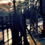 ... když jsem šel krajinou ...