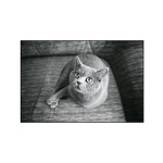 olda nenoha strašně smutnej bez nohy