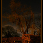 Tichý svedok noci...