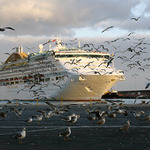 v přístavu je živo