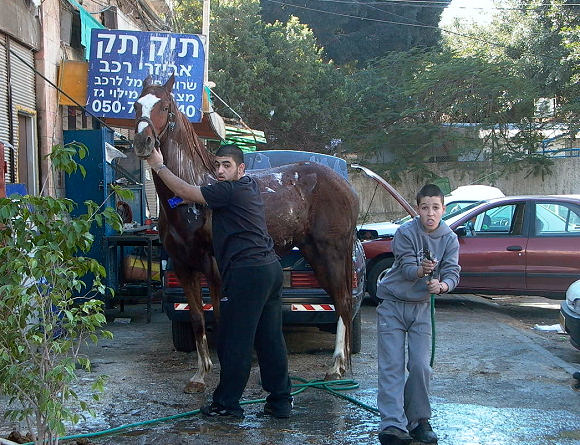 ..momentka z jaffa..