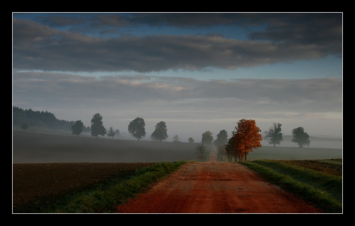 Vysočina II.