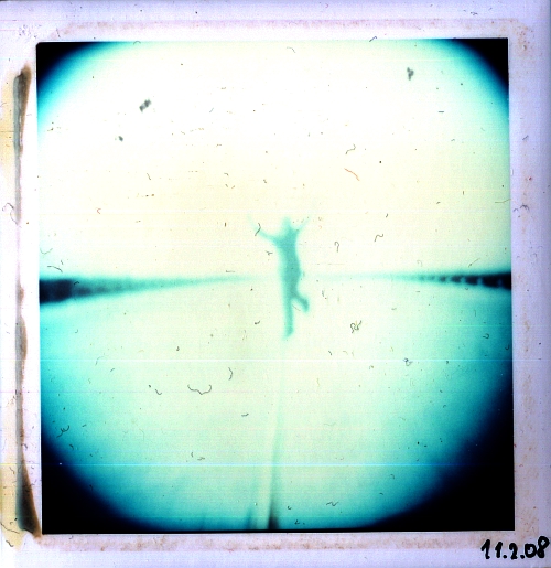 freeeeeee as a biiiiiiirrdd