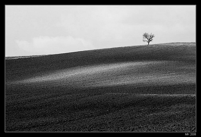 solitér