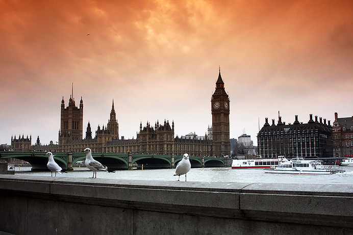 Westminster