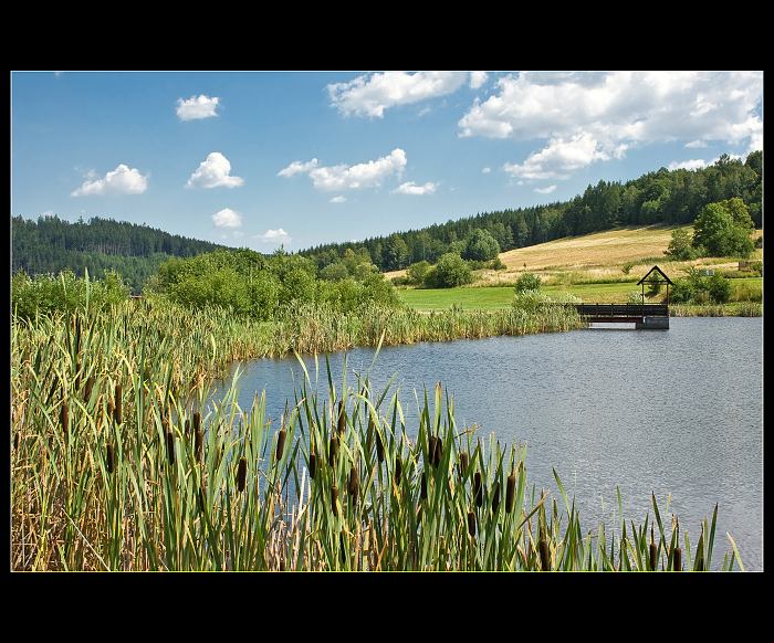Rakosniček...