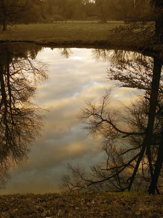 Snová