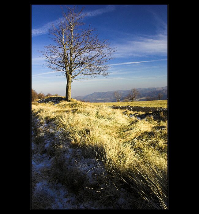 ...Krušnohorské Výhledy II...