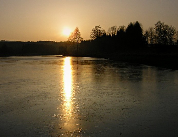 ledová