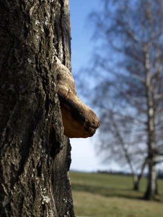 Vypadá to zajímavě !!!