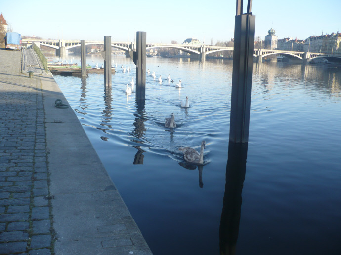 Pěkně jedna za druhou:)