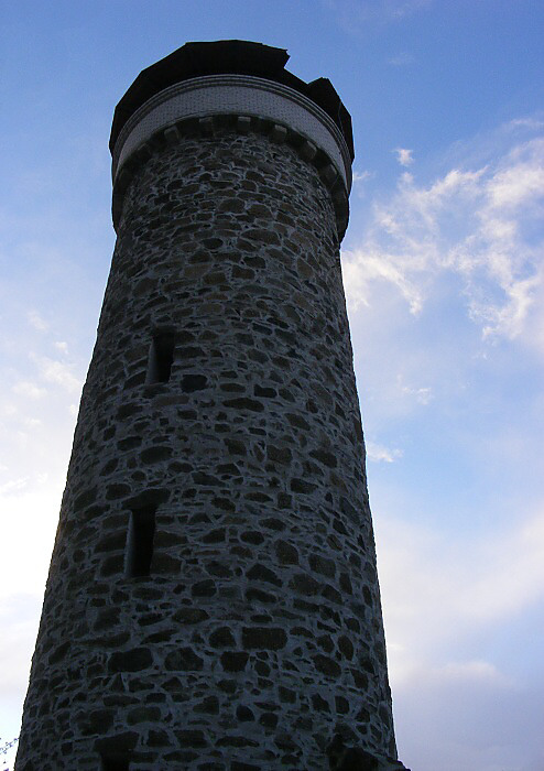 Věž