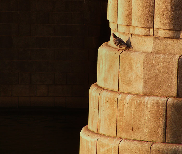 nečíhá tam něco na mě???