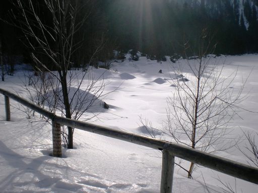 Šumava 2008 - Plešné jezero