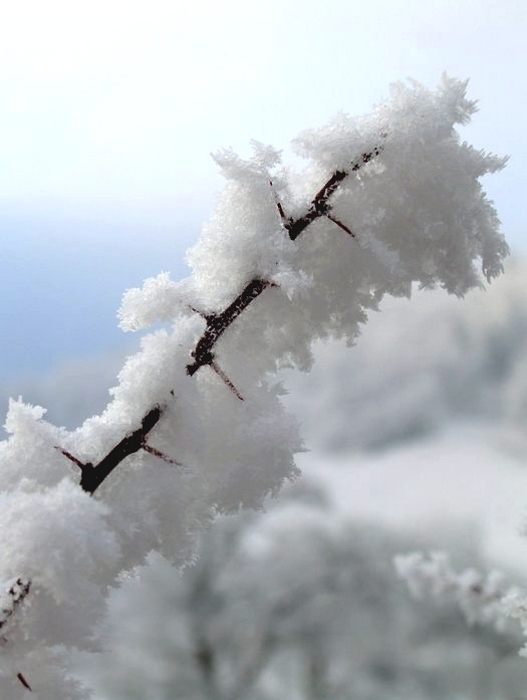 ...vzpomínka na sníh...