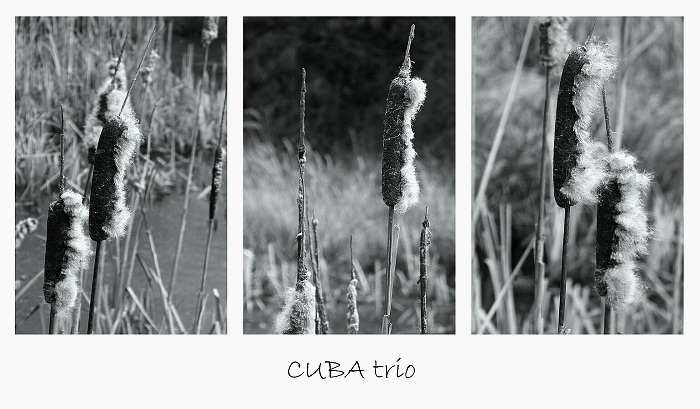 CUBA trio