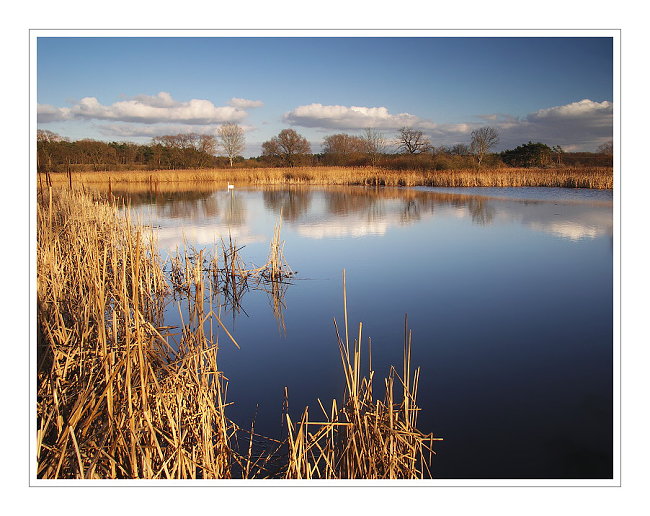 Odpolední zastavení