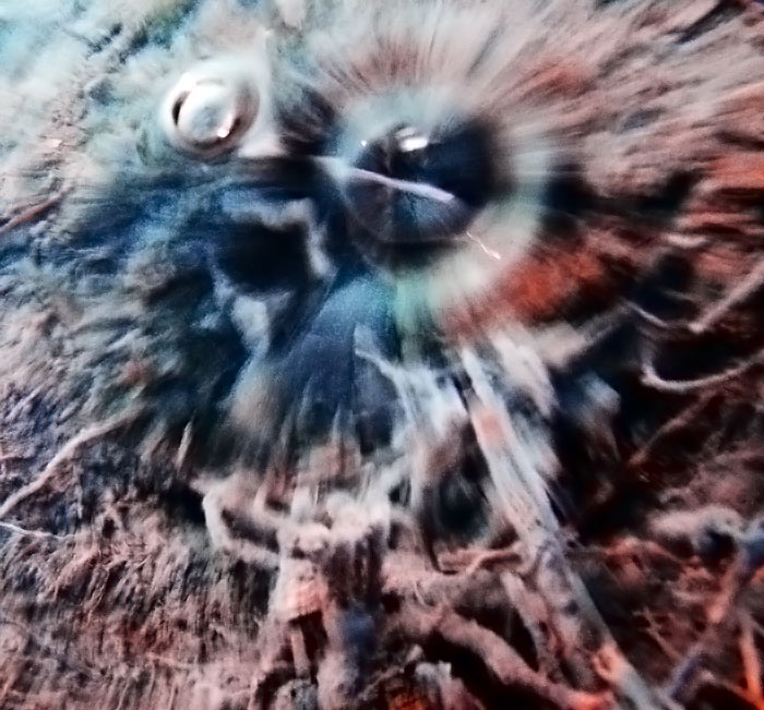 Z jiné galaxie