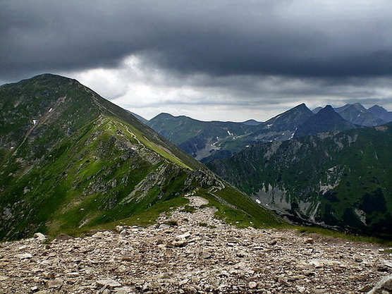 Roháče