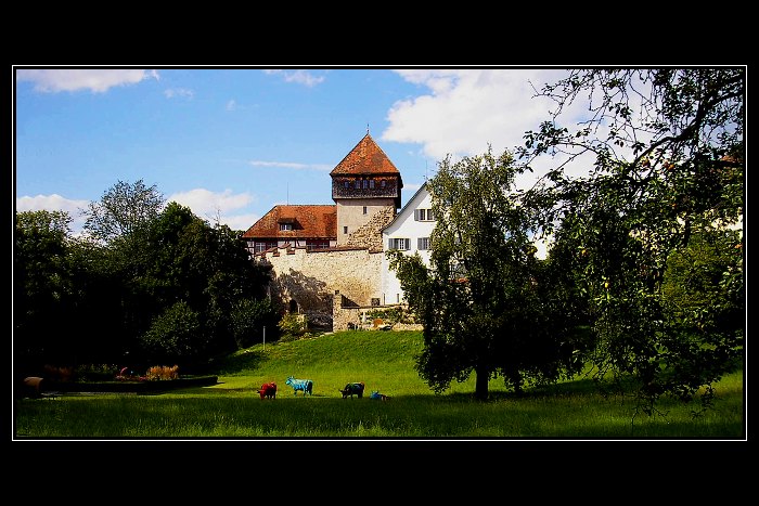 diesenhofen II