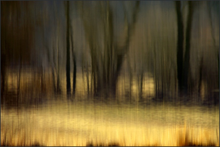 .. step ..