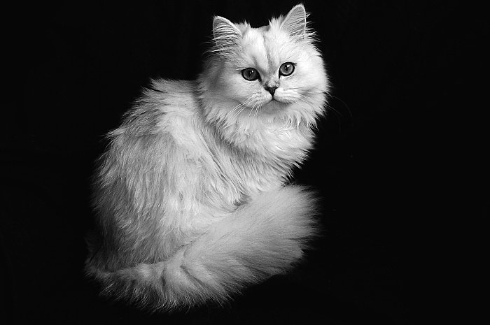 ***MIMINA***