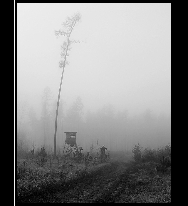 ...toulky lesem II...
