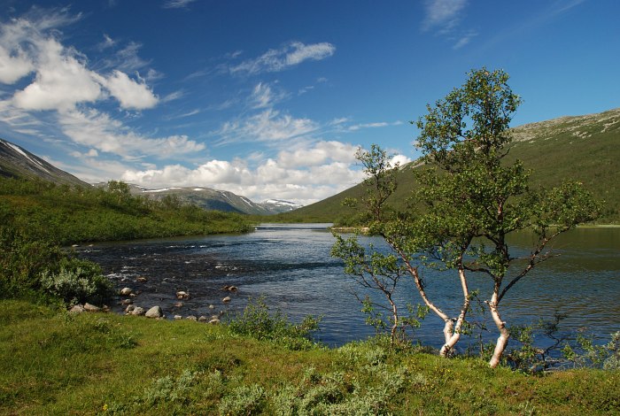 Dovrefjell I