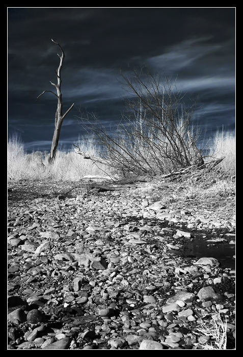 V krajině ticha (IR)