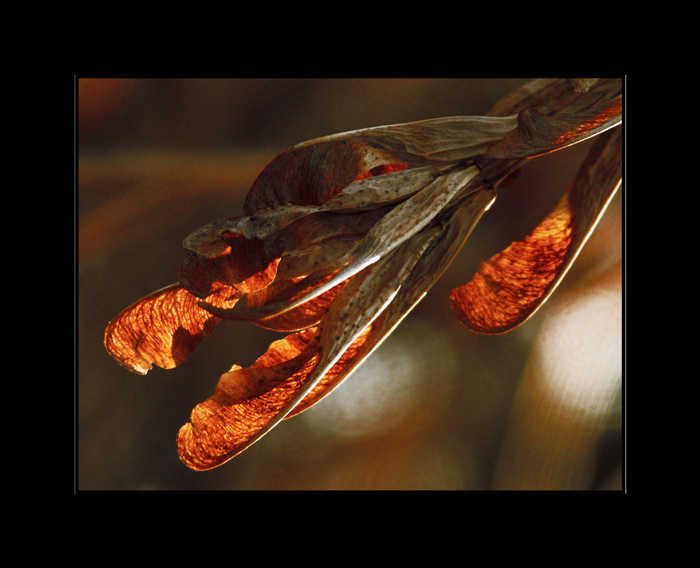 Zdál se mi nějakej zlej!...