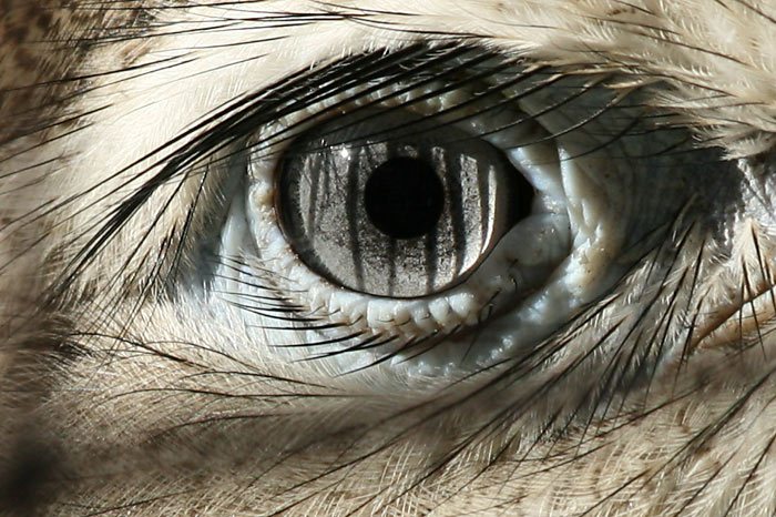 Ne, to není MaxFactor, takhle jsem se už narodila!