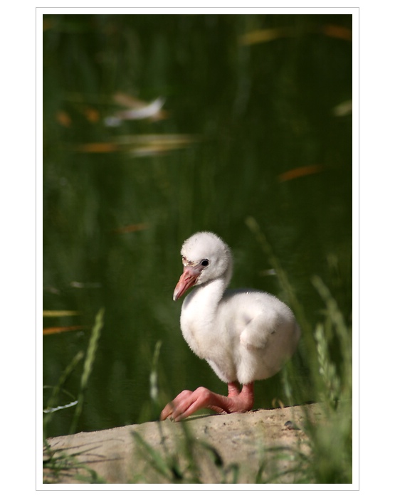 *** Jsem malej, ale šikovnej :))) ***