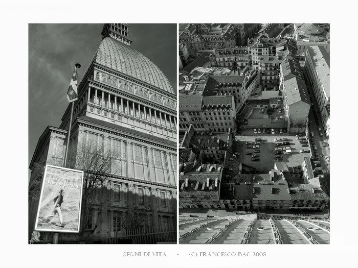 ..::SEGNI DI VITA::..