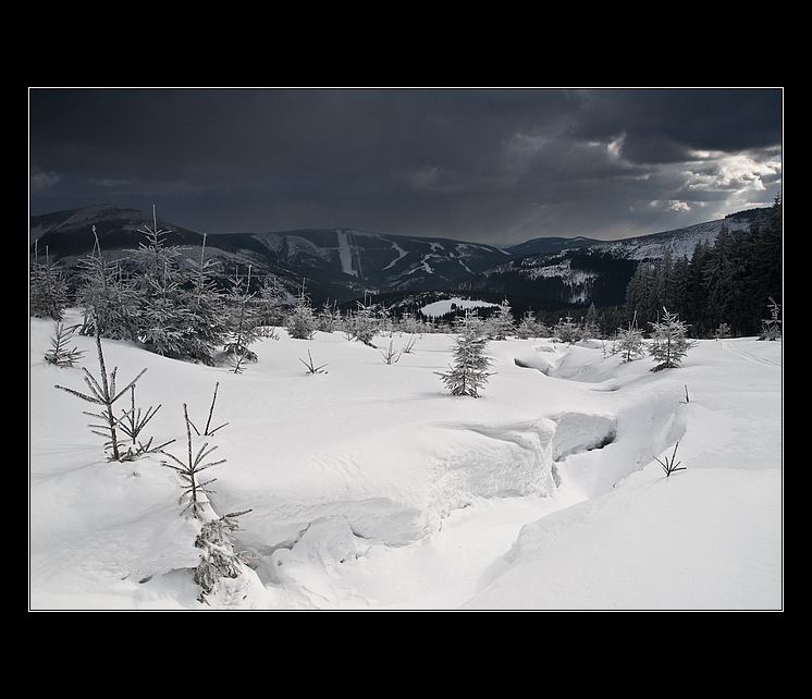 Schováni pod sněhem