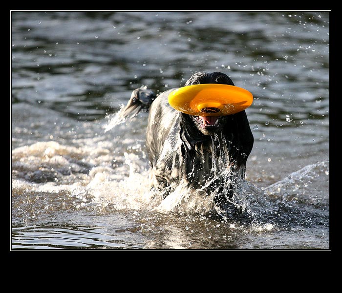 ..vidim prd, ale uz ho nesu ..