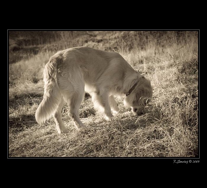 první chvíle s Ralfem