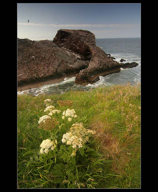 Bow Fiddle Rock  IV.
