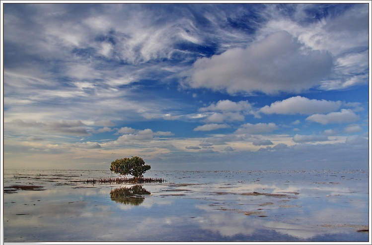 Thompson Beach za odlivu
