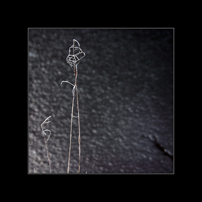 ...dialog či monolog... ?