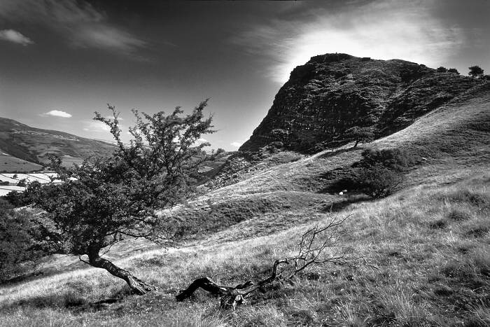 Back Tor