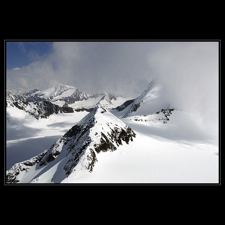 Hintere Schwarze v mlze