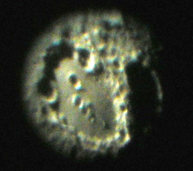 Clavius