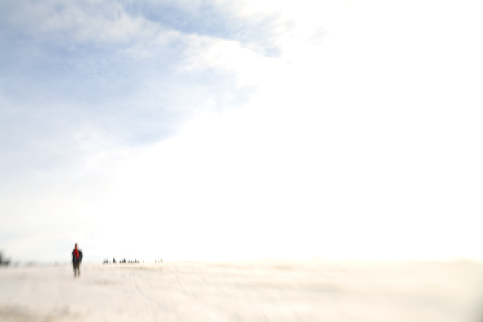 ... anatomie krajiny II. ...