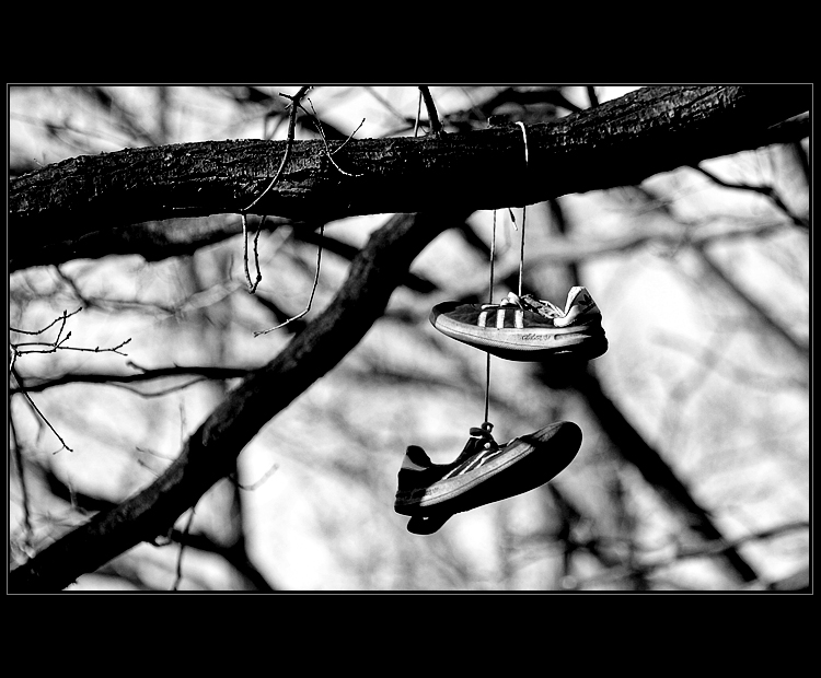 Neposlušné tenisky