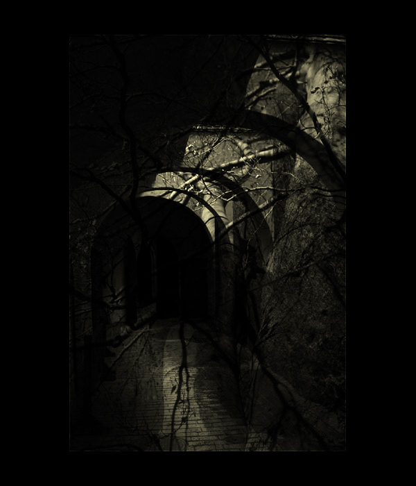 = House of the Ghosts =