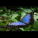 .: PŘIPRAVEN KE STARTU :.