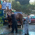 ..momentka z jaffa..