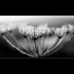 Poslední mrazení II.