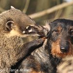 Nikomu to neříkej !!!