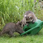 "Tak to je ta chatička u vody..?!"